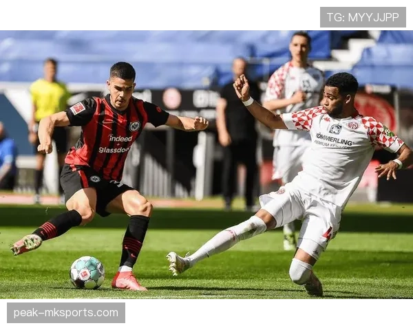 德甲新篇章开启,新援加盟助力球队实力稳步提升 德甲新篇章开启,新援加盟助力球队实力稳步提升