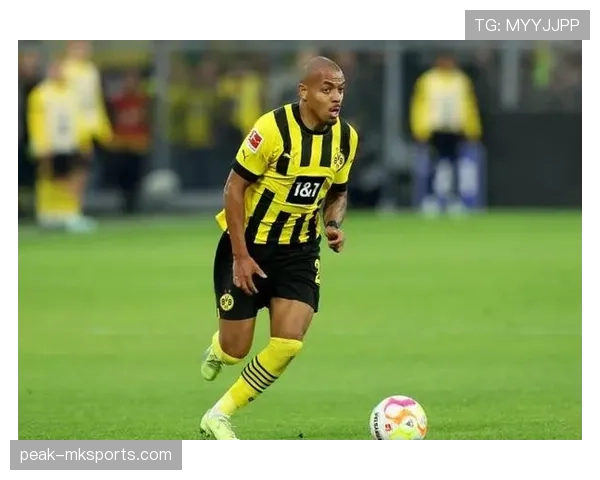 德甲大黄蜂 德甲大黄蜂