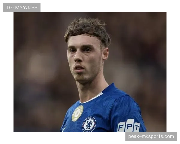 帕尔默本赛季表现如何？媒体最新解读