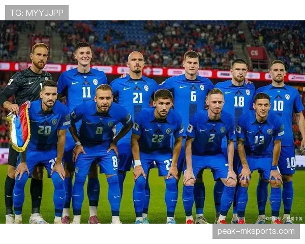 波黑队能否重返2026世界杯？晋级前景与阵容分析